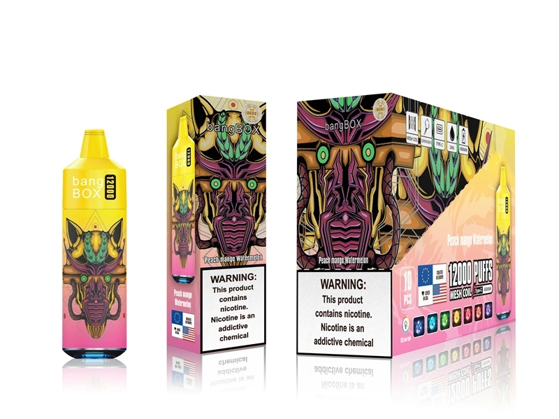Bangbox 12000 Puffs Disposable Vape – Multiple Flavor