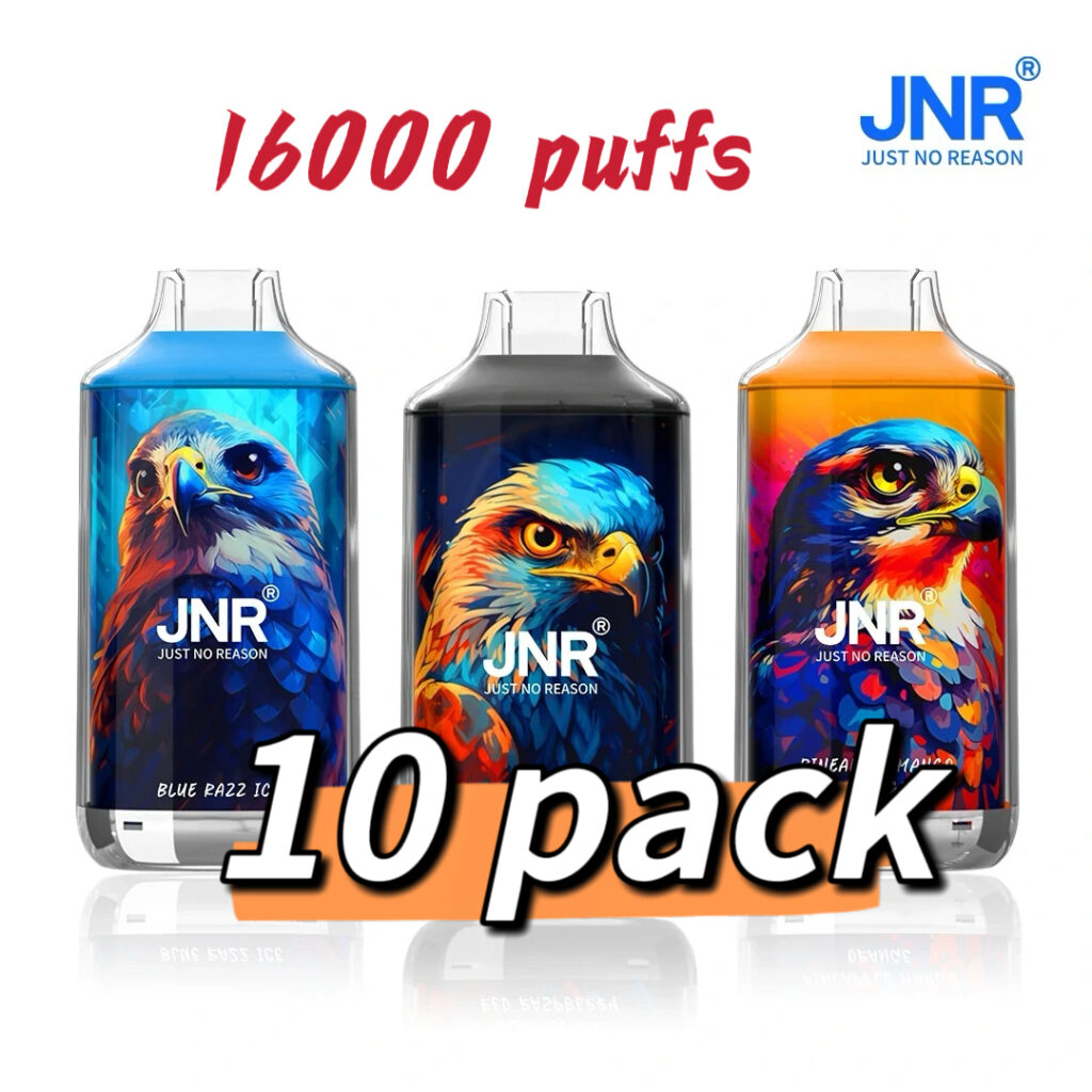 JNR Falcon 16000 Puffs 10 Packs (Ship from oversea) - Blackberry Red Raspberry