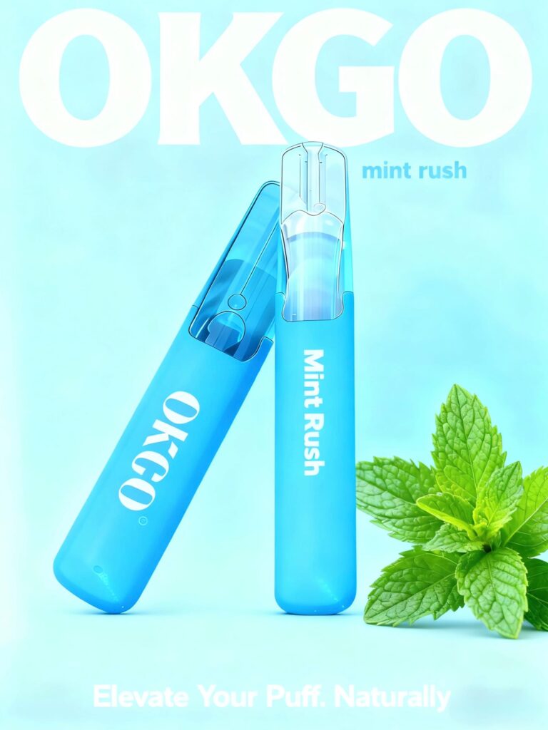 OKGO 6500 Puffs Mint rush -10 Pack - Mint rush