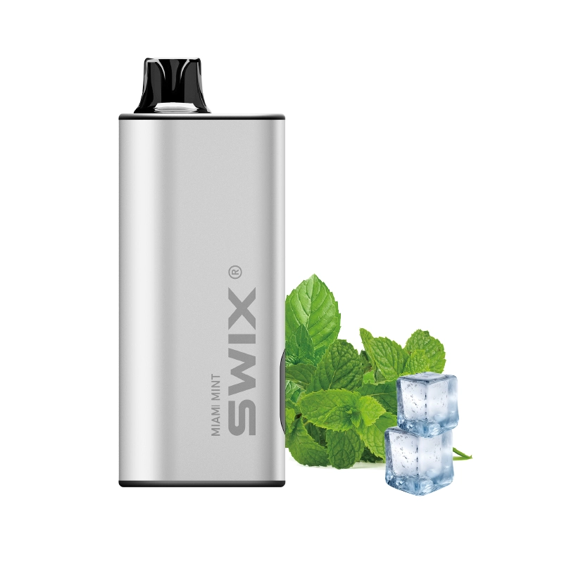 Swix Vape 9000 Puffs-5 Packs - Miami Mint
