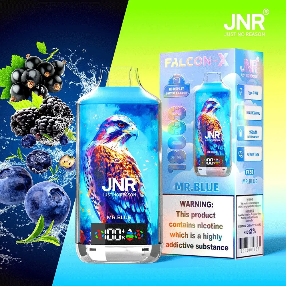 JNR Falcon-X 18000 Puffs 10 Pack (Ship from oversea) - Image 11