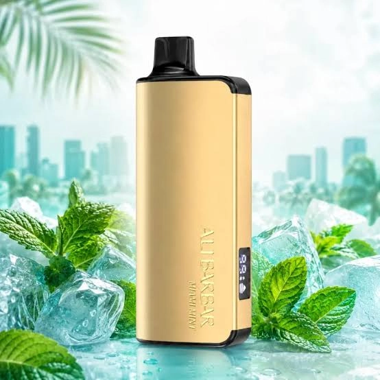 アリババ ベイプ ALIBARBAR INGOT Miami Mint 9000 puffs